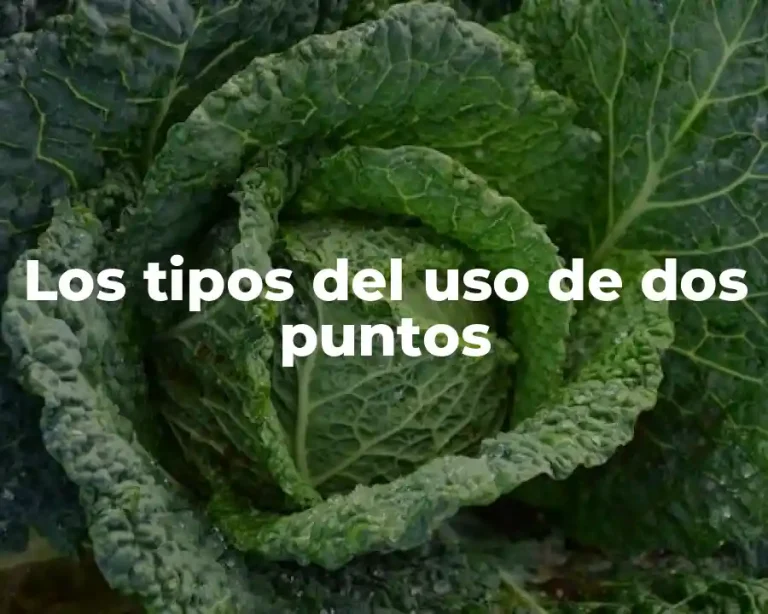 Los tipos del uso de dos puntos
