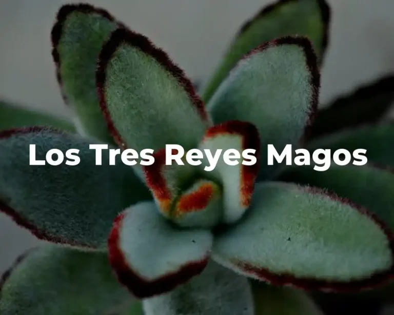 Los Tres Reyes Magos