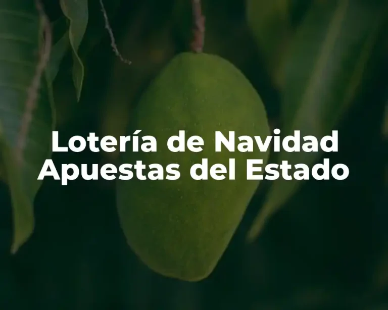 Lotería de Navidad Apuestas del Estado