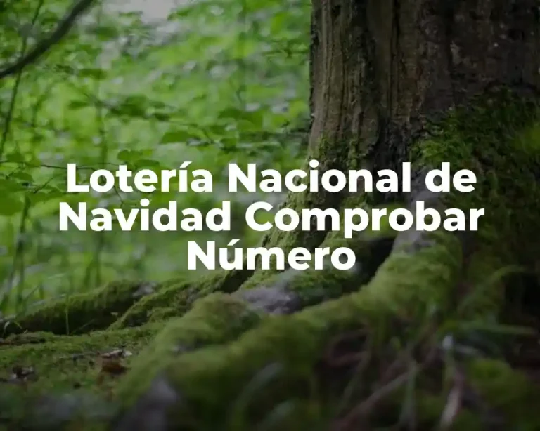 Lotería Nacional de Navidad Comprobar Número