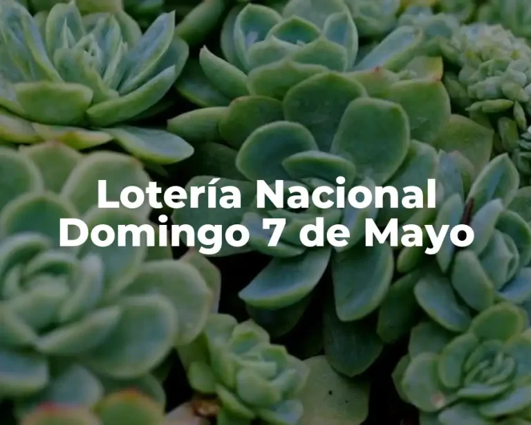 Lotería Nacional Domingo 7 de Mayo