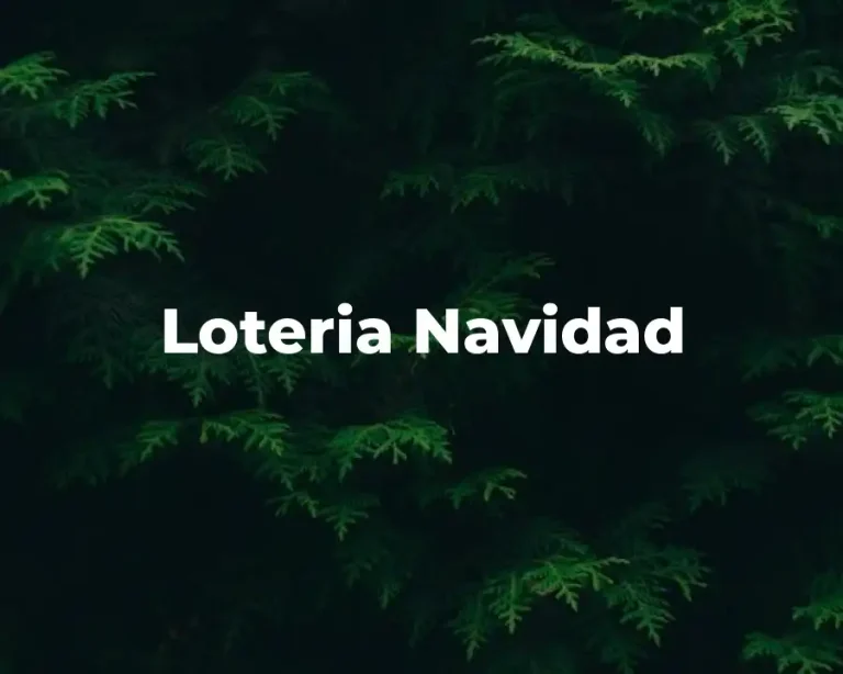Loteria Navidad