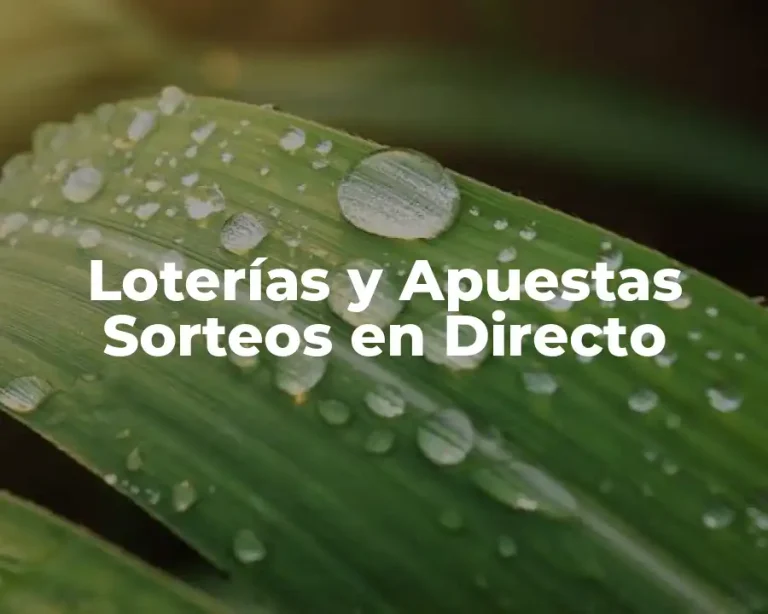 Loterías y Apuestas Sorteos en Directo