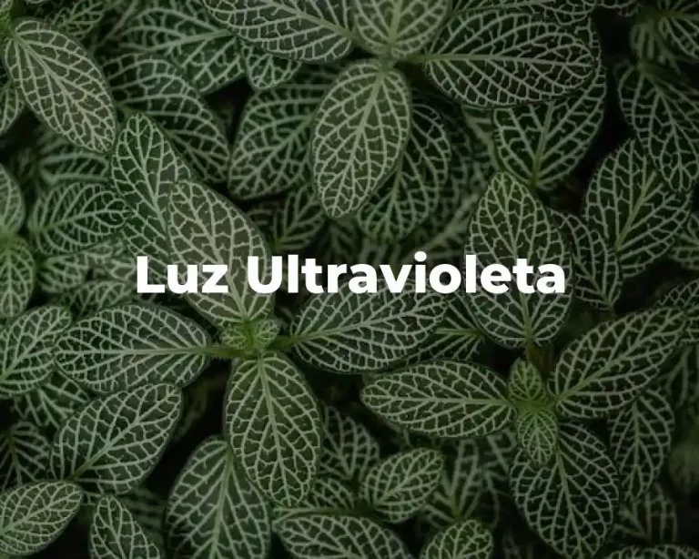 Luz Ultravioleta