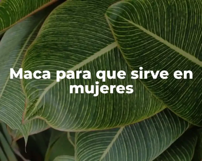 Maca para que sirve en mujeres