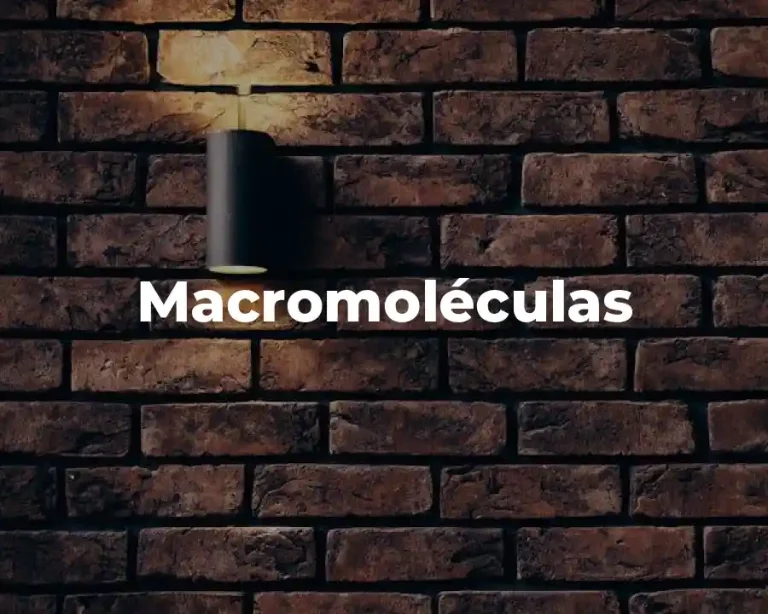 Macromoléculas