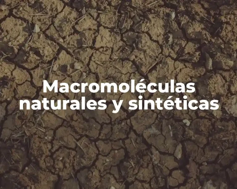 Macromoléculas naturales y sintéticas