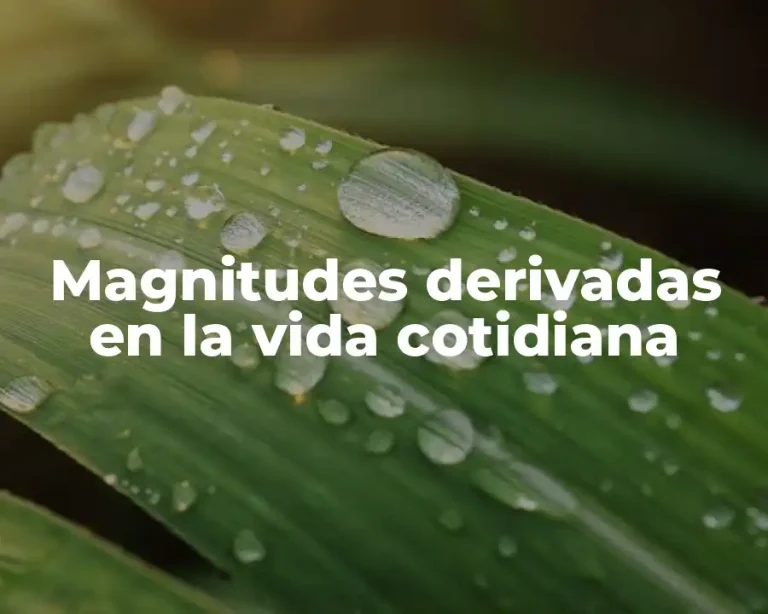 Magnitudes derivadas en la vida cotidiana