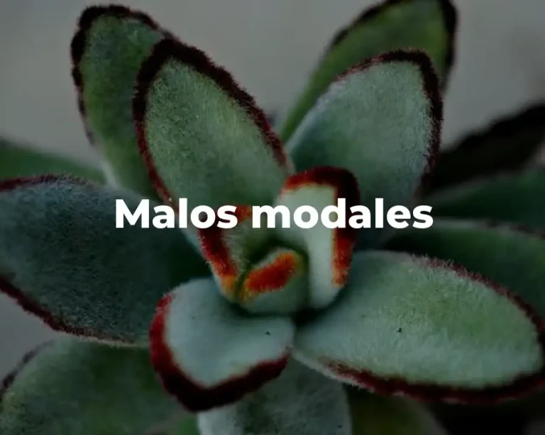 Malos modales