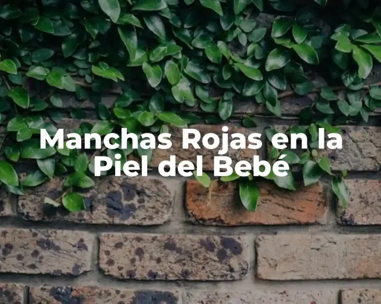 Manchas Rojas en la Piel del Bebé