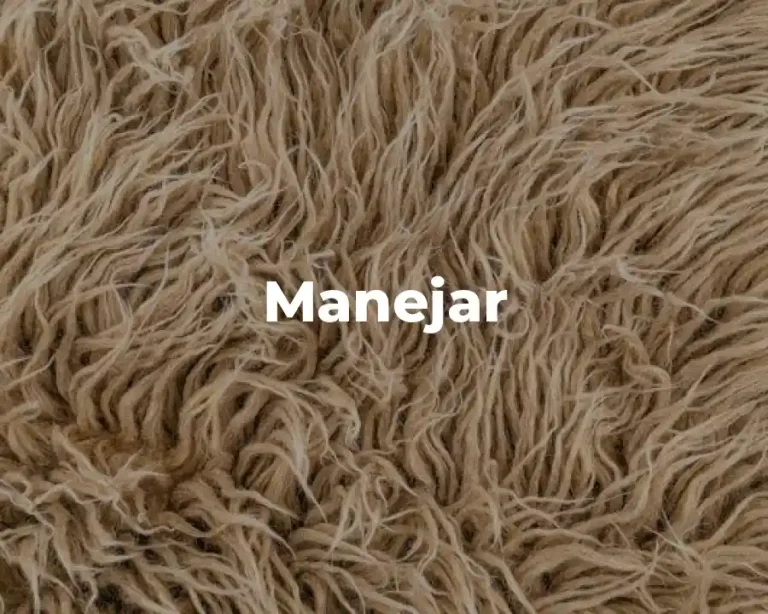 Manejar