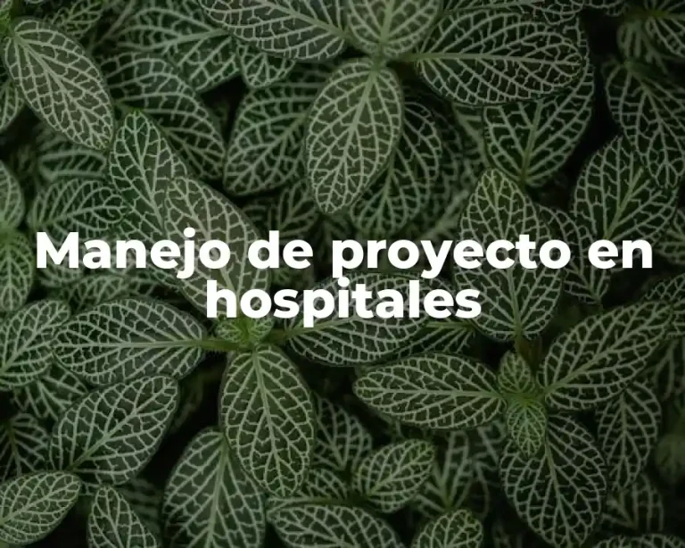 Manejo de proyecto en hospitales