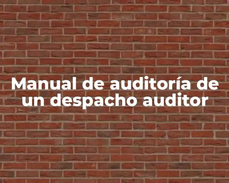 Manual de auditoría de un despacho auditor