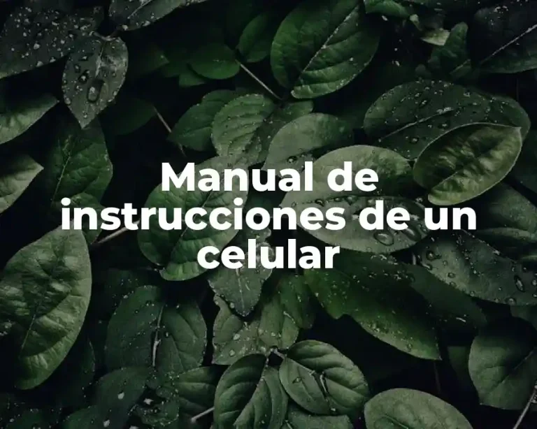 Manual de instrucciones de un celular