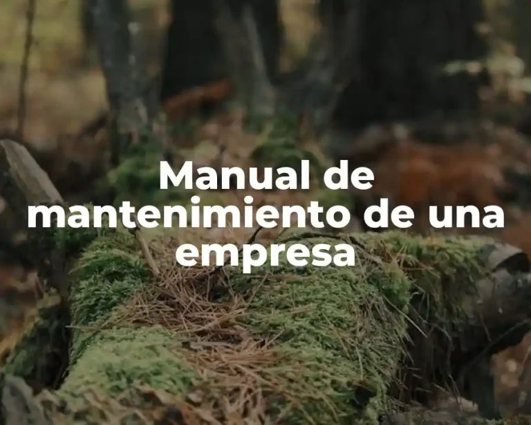 Manual de mantenimiento de una empresa