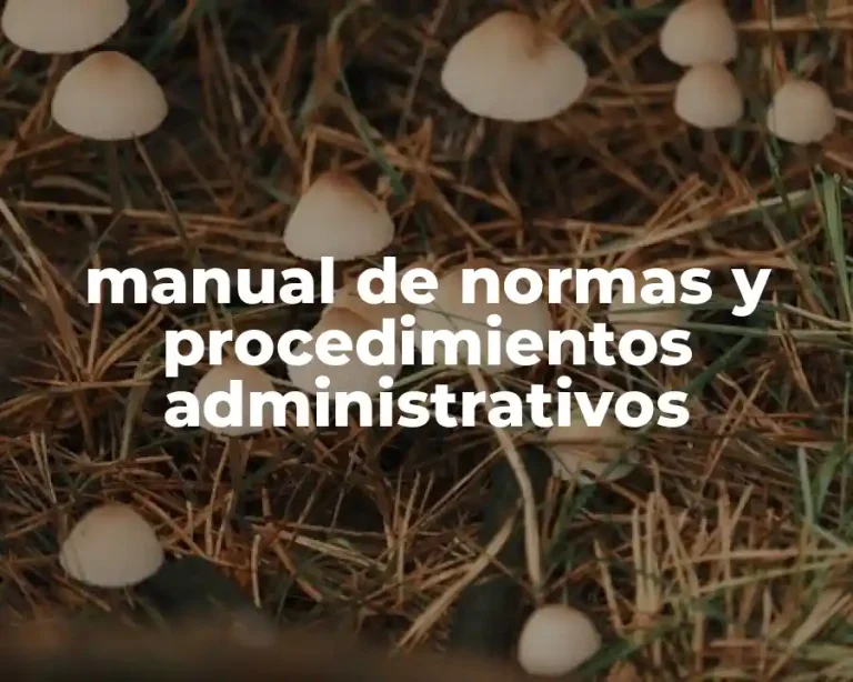 manual de normas y procedimientos administrativos