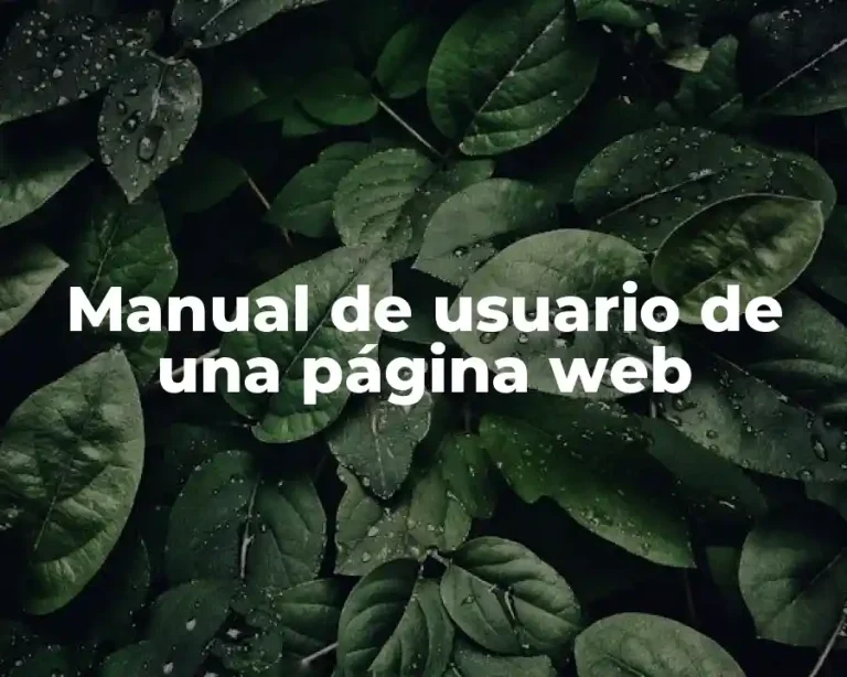 Manual de usuario de una página web