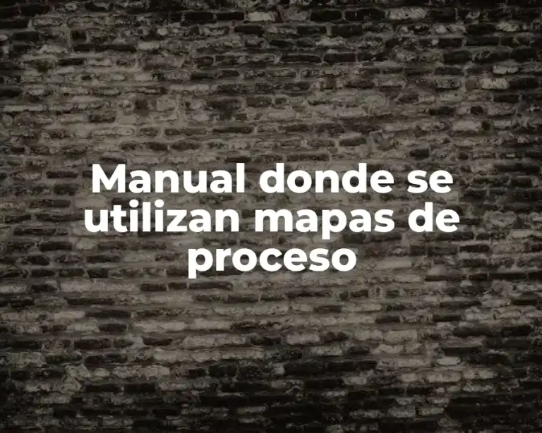 Manual donde se utilizan mapas de proceso