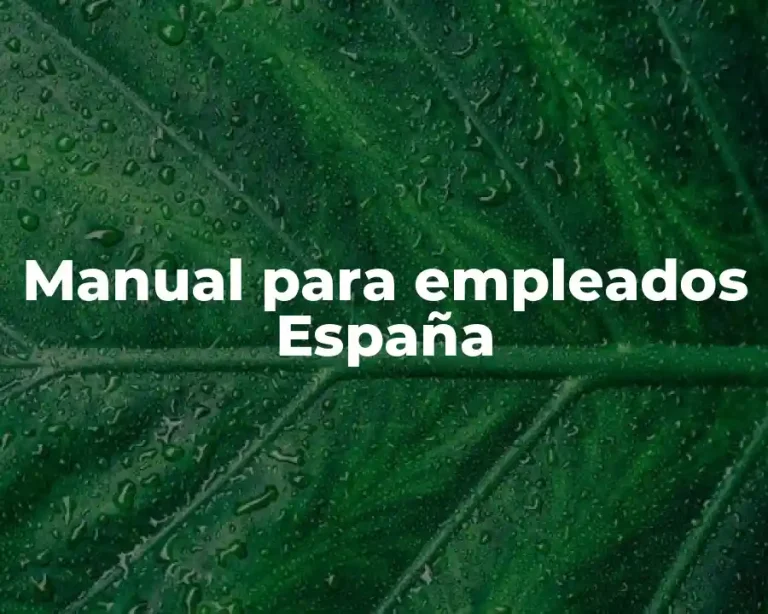 Manual para empleados España