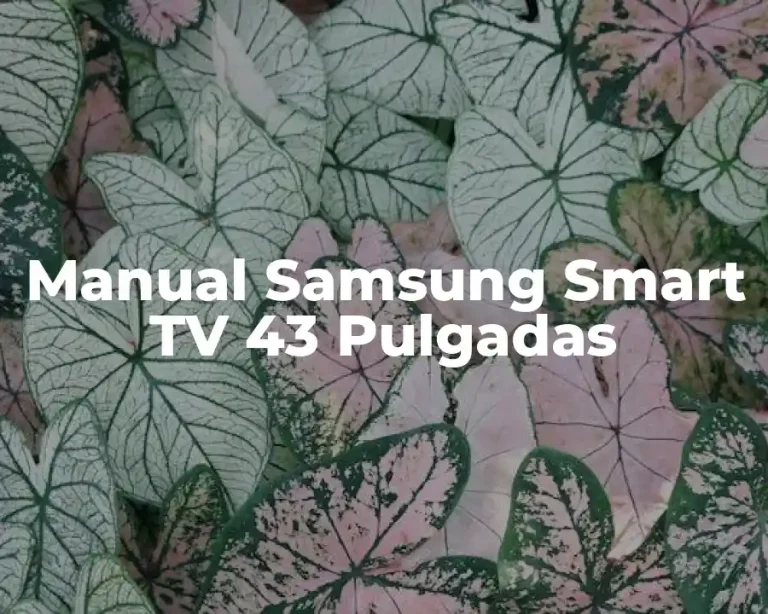 Manual Samsung Smart TV 43 Pulgadas