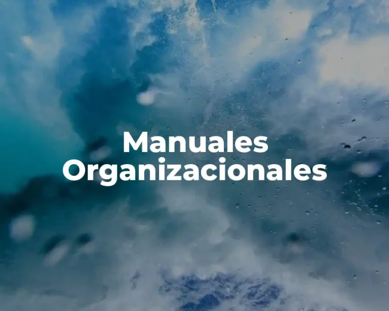 Manuales Organizacionales