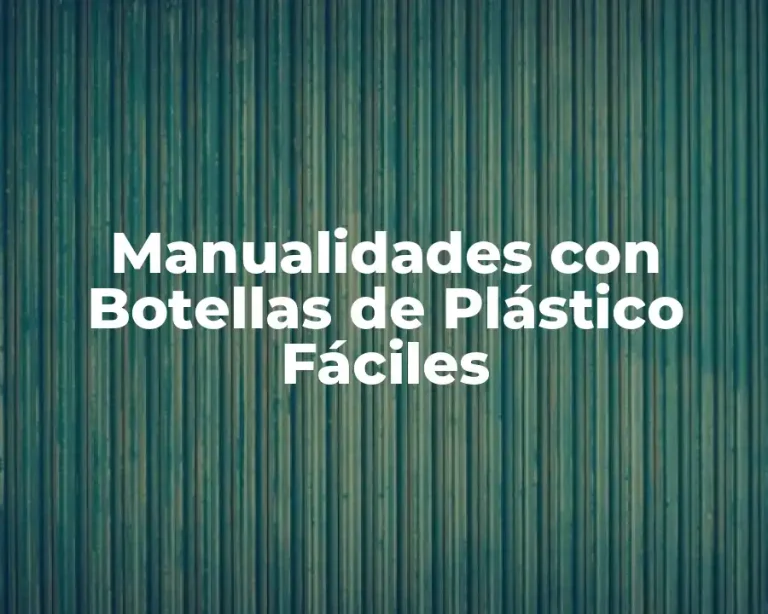 Manualidades con Botellas de Plástico Fáciles