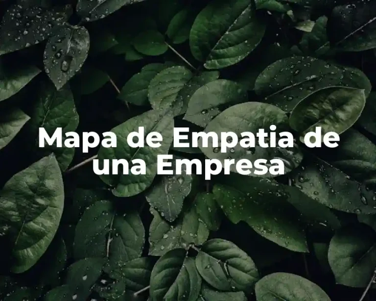 Mapa de Empatia de una Empresa