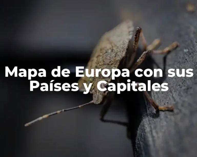 Mapa de Europa con sus Países y Capitales