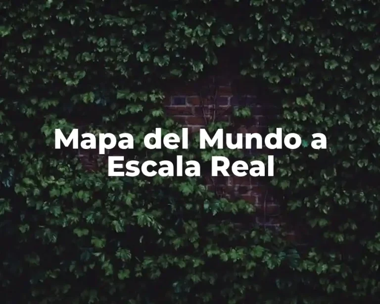 Mapa del Mundo a Escala Real