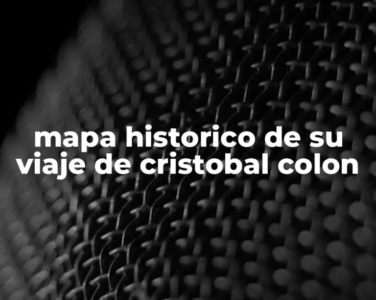 mapa historico de su viaje de cristobal colon
