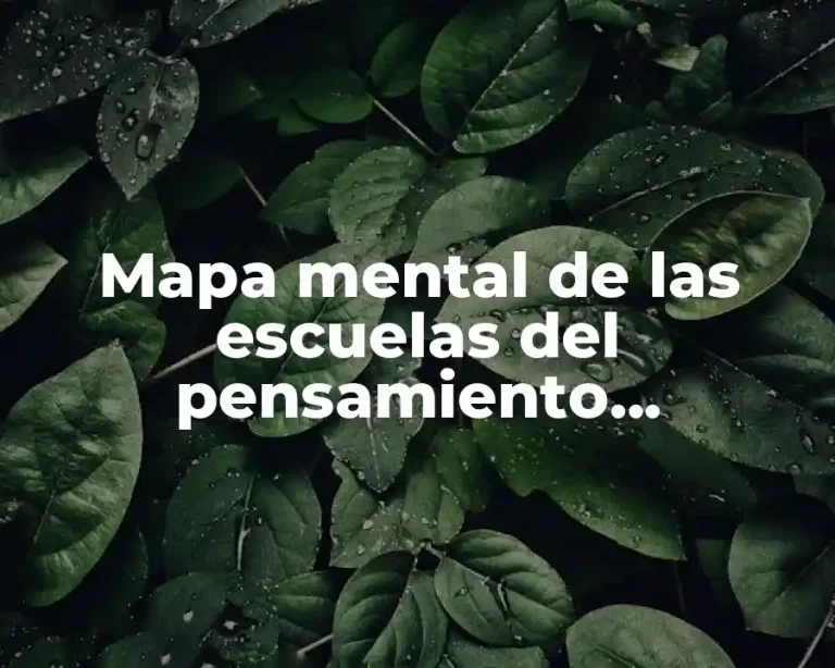 Mapa mental de las escuelas del pensamiento administrativo