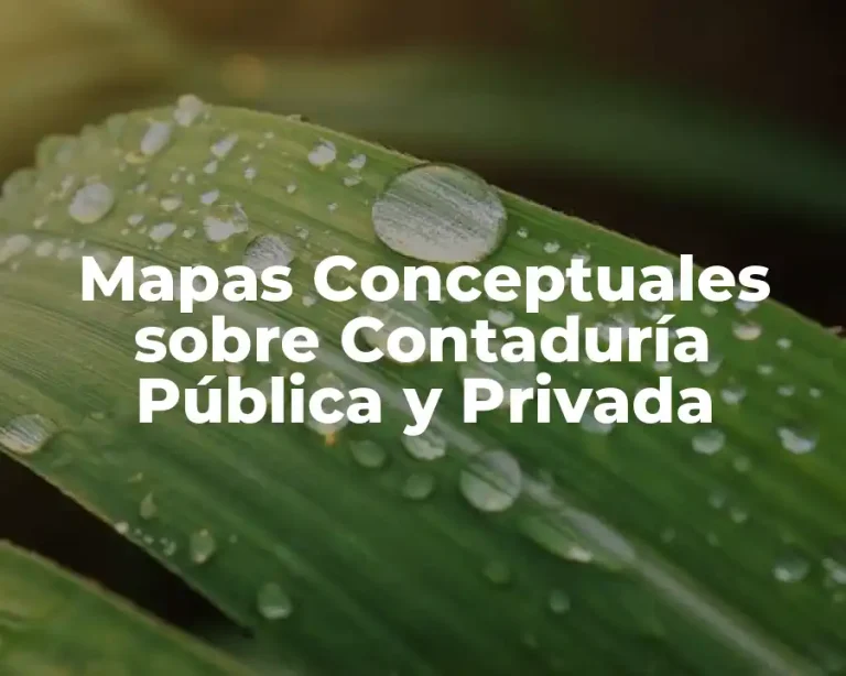 Mapas Conceptuales sobre Contaduría Pública y Privada