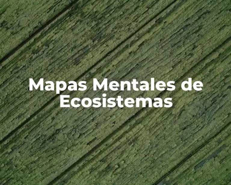 Mapas Mentales de Ecosistemas
