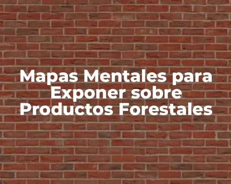 Mapas Mentales para Exponer sobre Productos Forestales