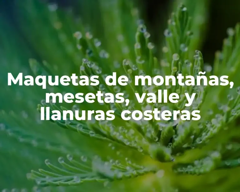 Maquetas de montañas, mesetas, valle y llanuras costeras