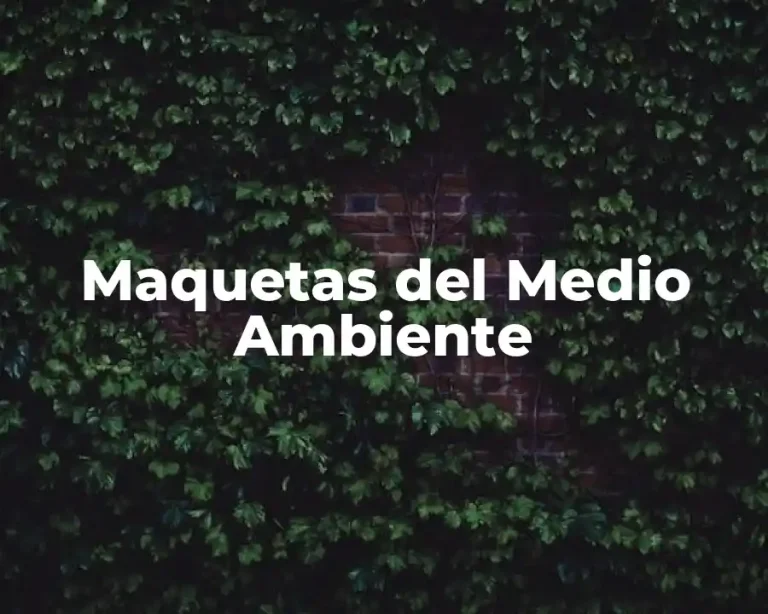 Maquetas del Medio Ambiente