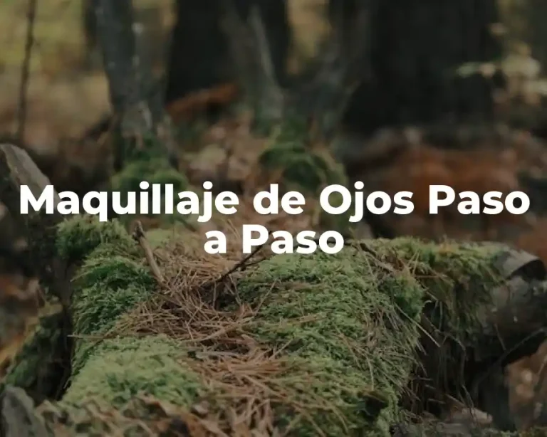 Maquillaje de Ojos Paso a Paso