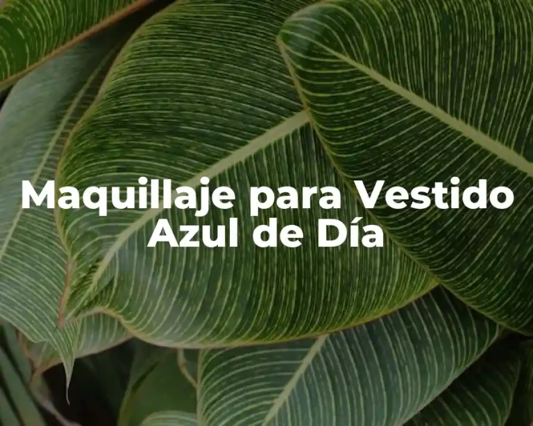Maquillaje para Vestido Azul de Día