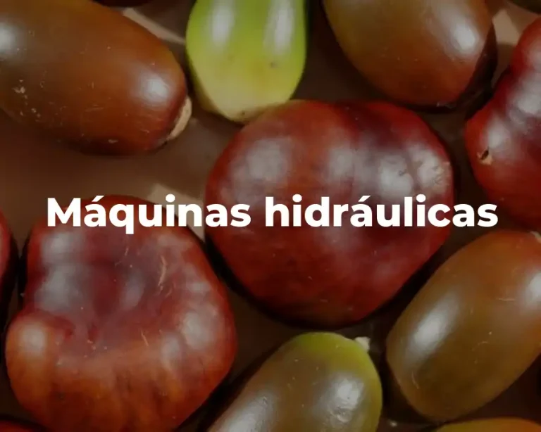 Máquinas hidráulicas