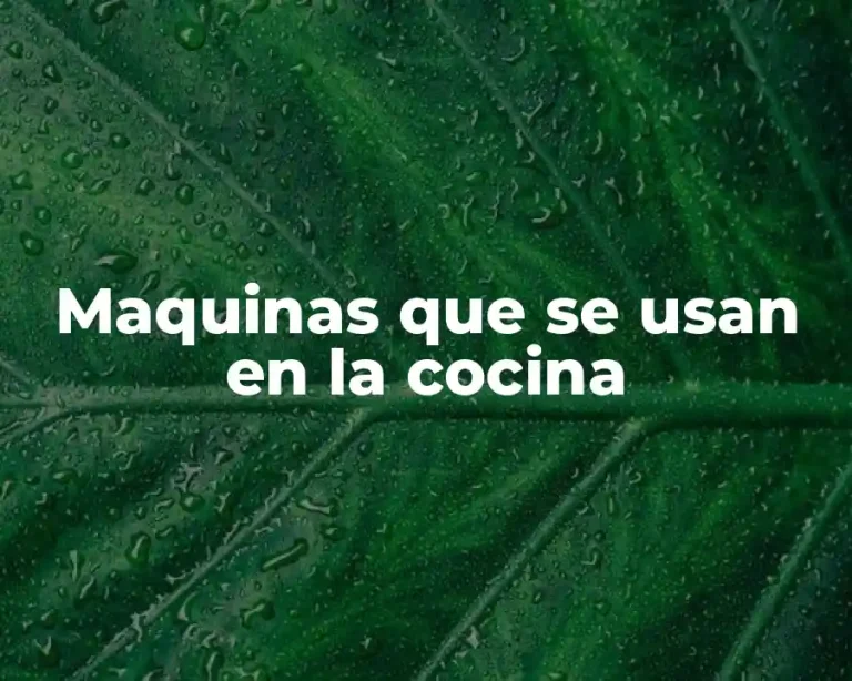 Maquinas que se usan en la cocina