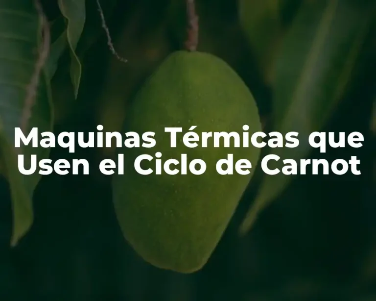 Maquinas Térmicas que Usen el Ciclo de Carnot