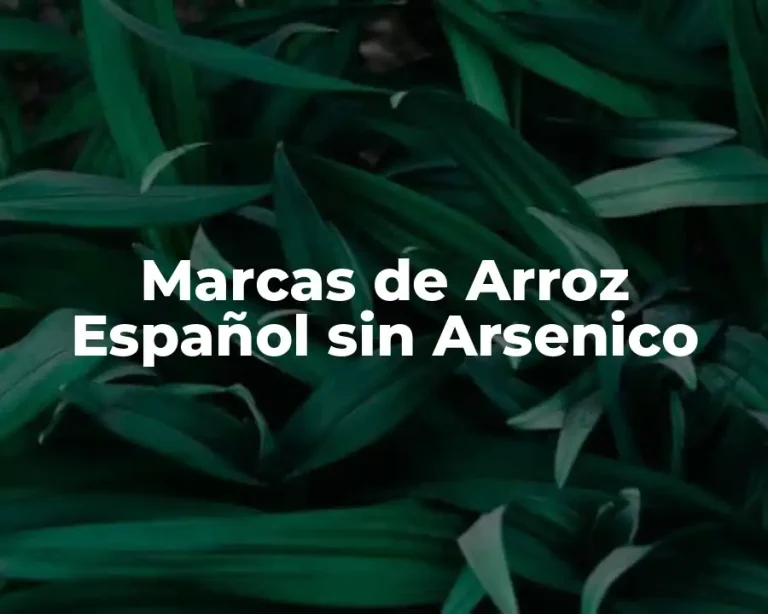 Marcas de Arroz Español sin Arsenico