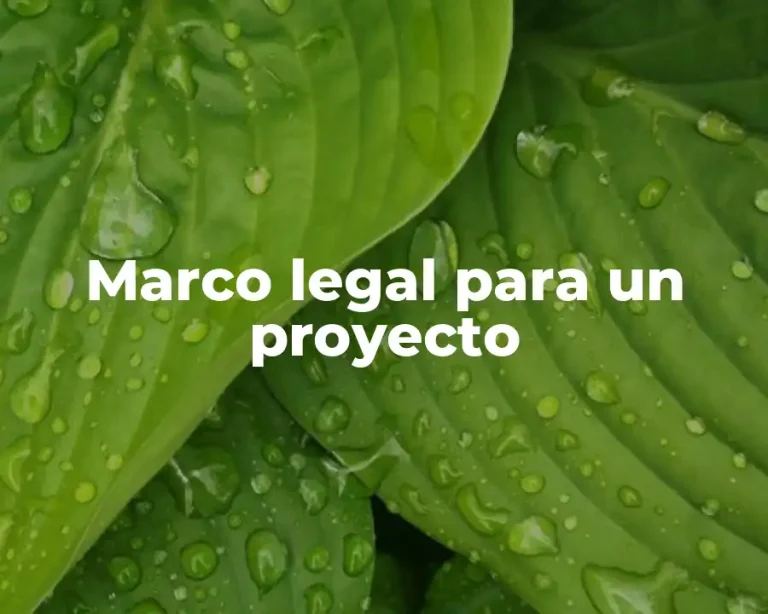 Marco legal para un proyecto