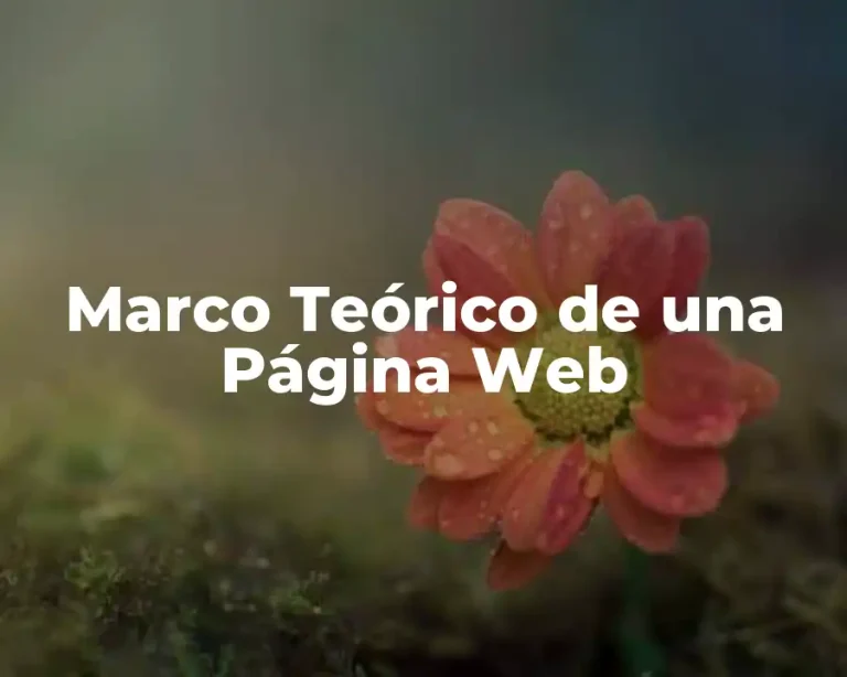 Marco Teórico de una Página Web