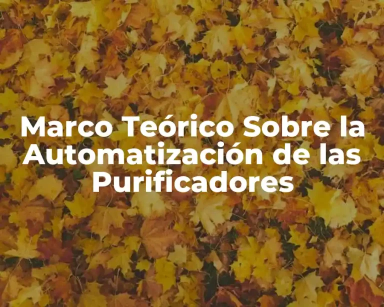 Marco Teórico Sobre la Automatización de las Purificadores