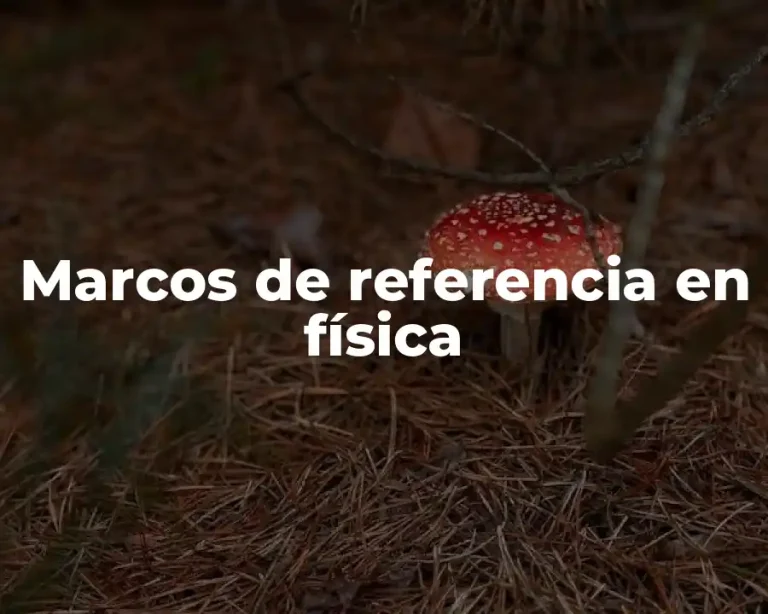 Marcos de referencia en física