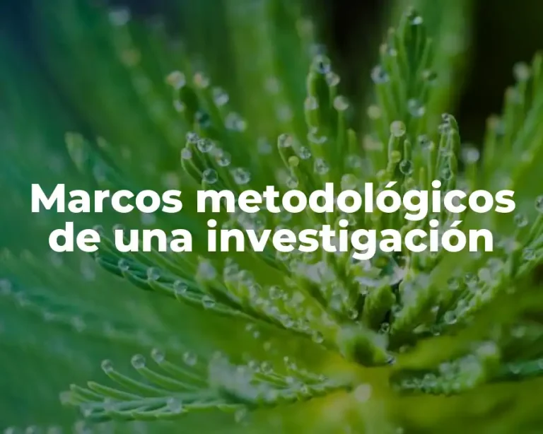 Marcos metodológicos de una investigación