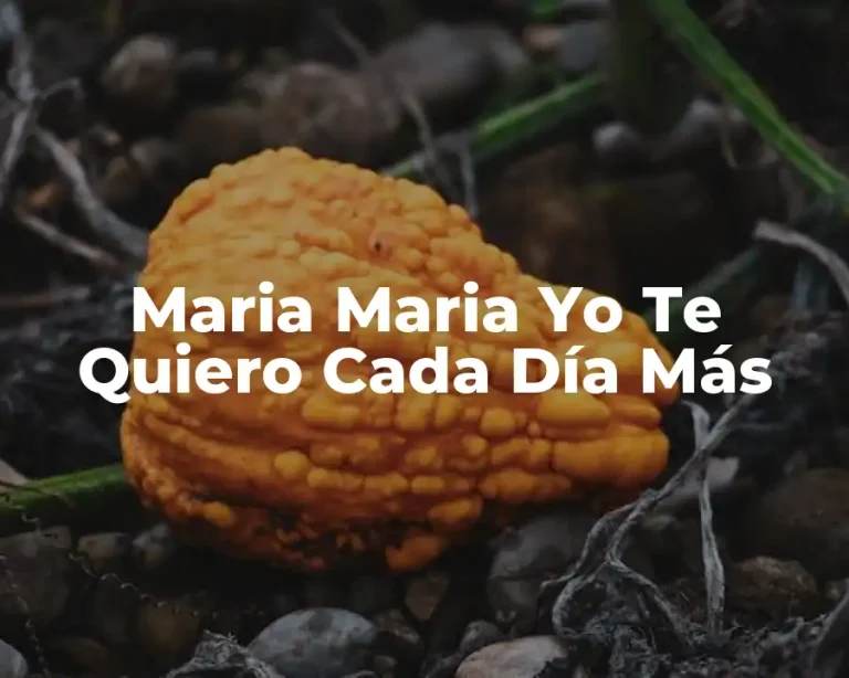 Maria Maria Yo Te Quiero Cada Día Más