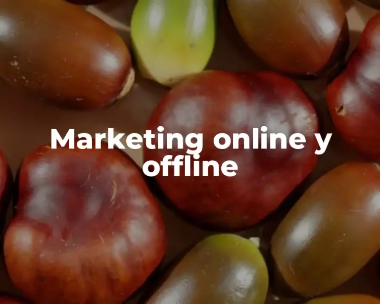 Marketing online y offline