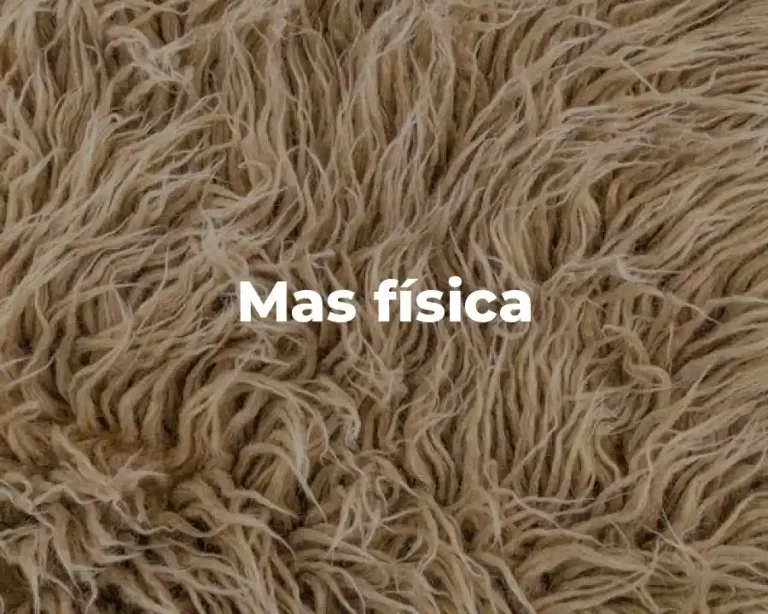 Mas física